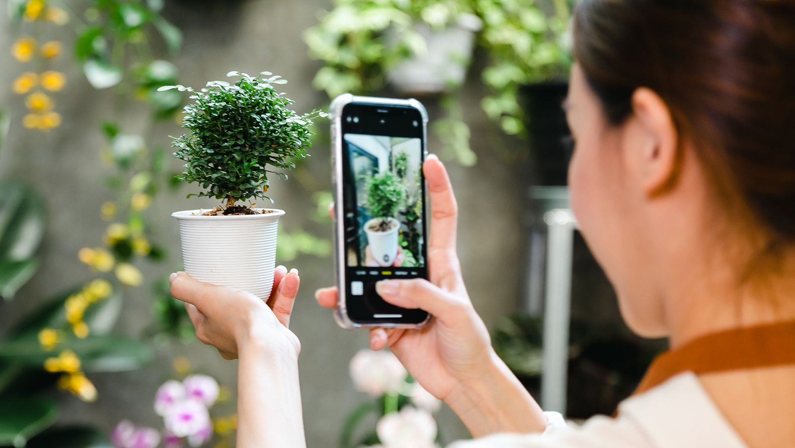 Top Free Plant Identification Apps - The App Review Zone